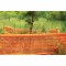 TreeSaver Safety Fence